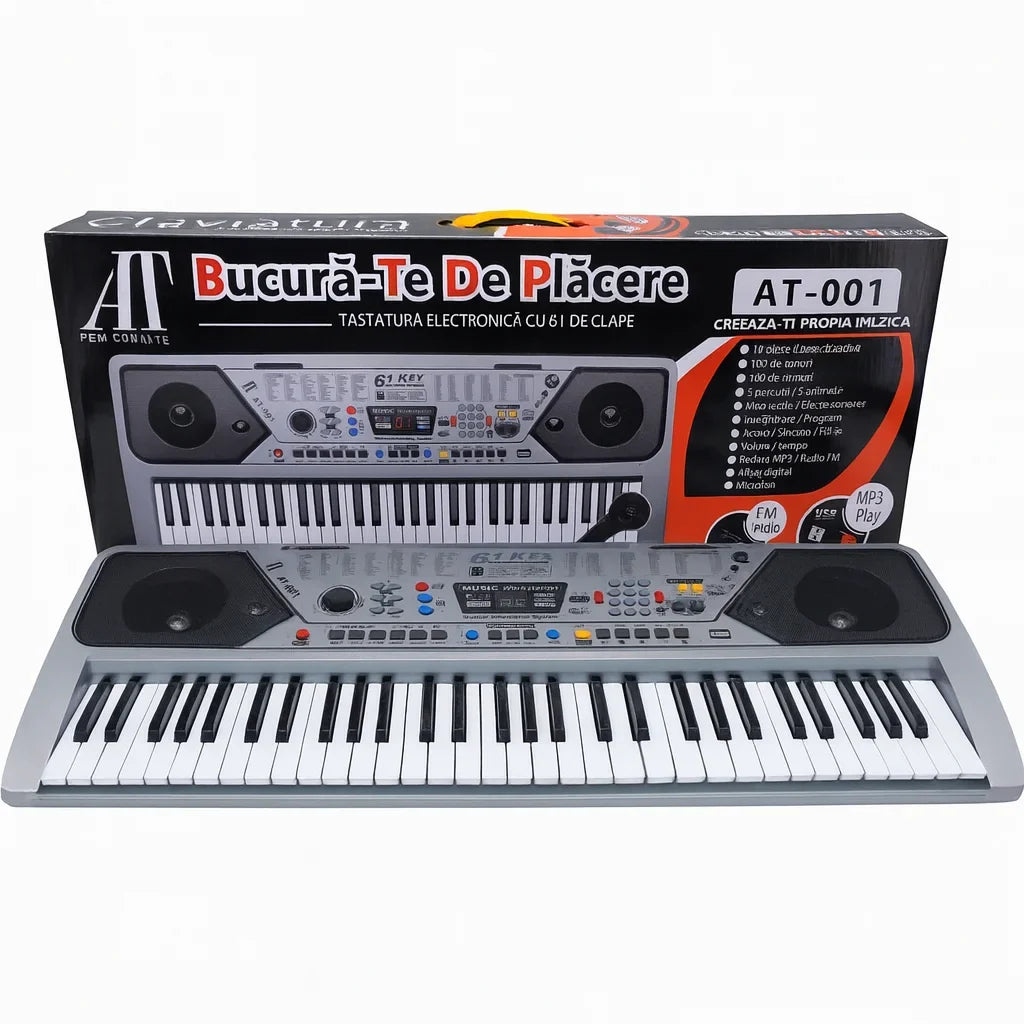 Orgă electronică AT Performance MQ_001, 61 clape, 100 tonuri, USB MP3, radio FM, argintiu cu negru