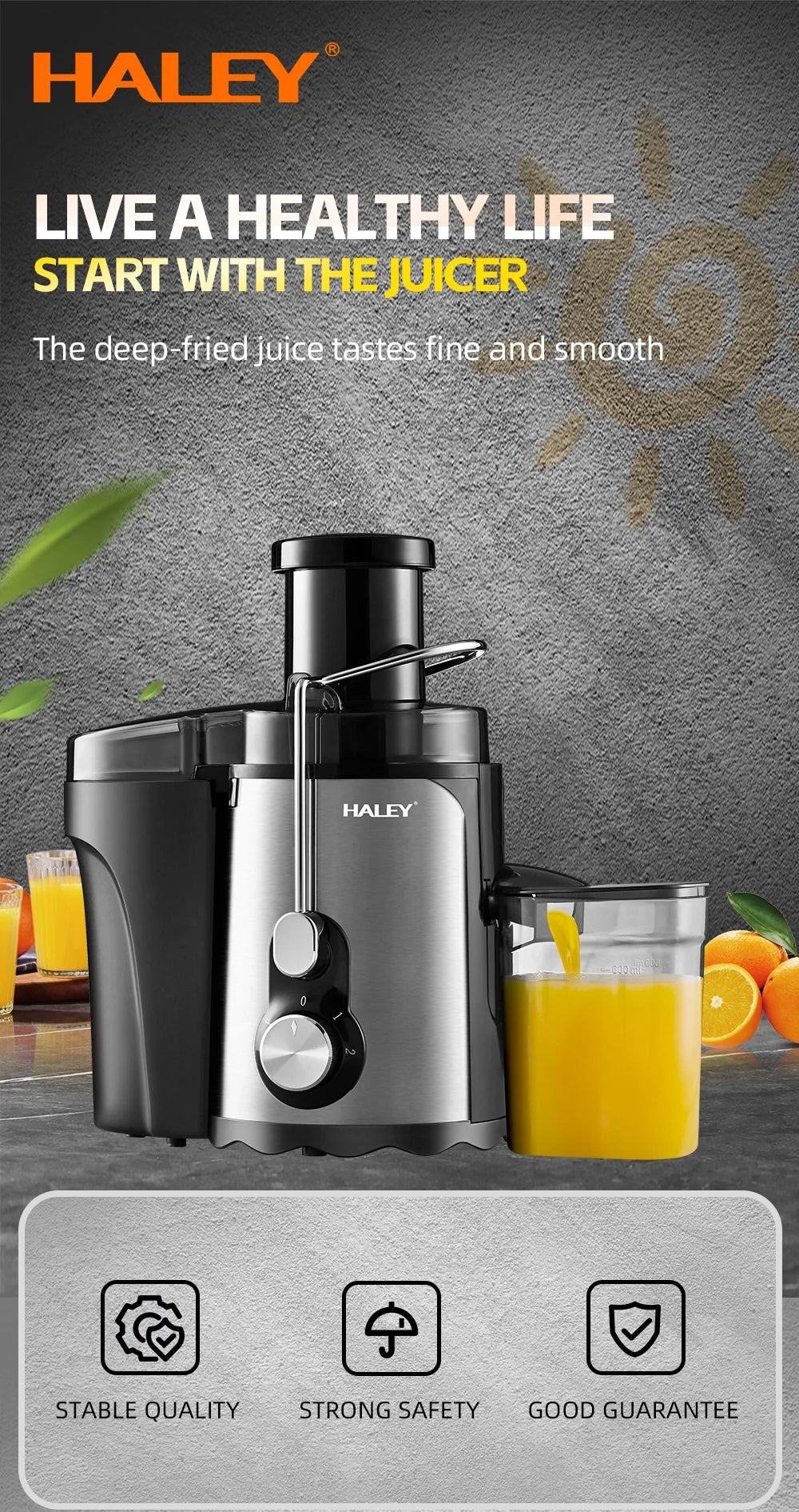 Storcător de fructe și legume HALEY HY-2901, 1000 W, 3 viteze cu Pulse, tub 70 mm, argintiu/negru