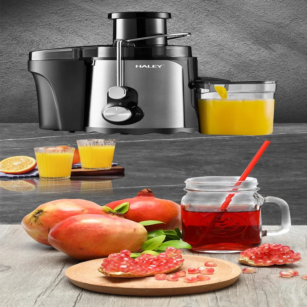 Storcător de fructe și legume HALEY HY-2901, 1000 W, 3 viteze cu Pulse, tub 70 mm, argintiu/negru