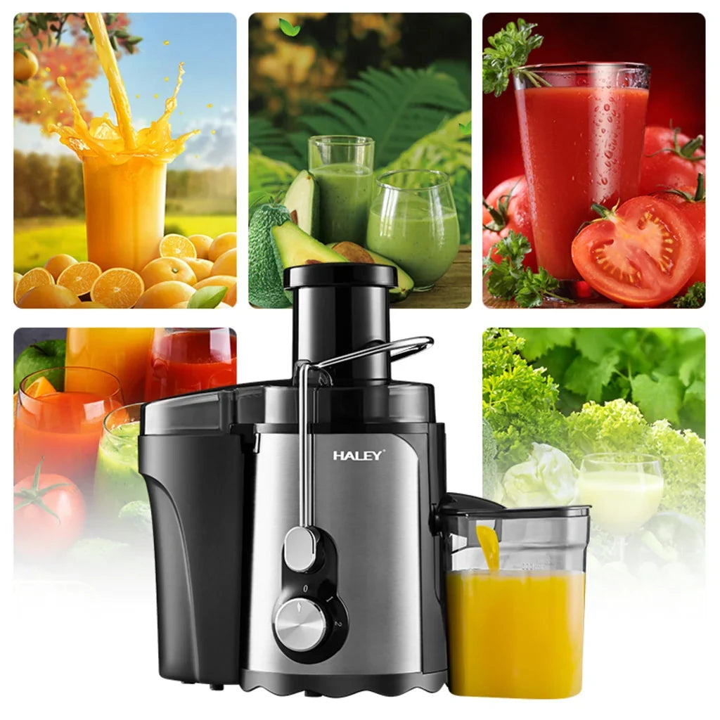 Storcător de fructe și legume HALEY HY-2901, 1000 W, 3 viteze cu Pulse, tub 70 mm, argintiu/negru