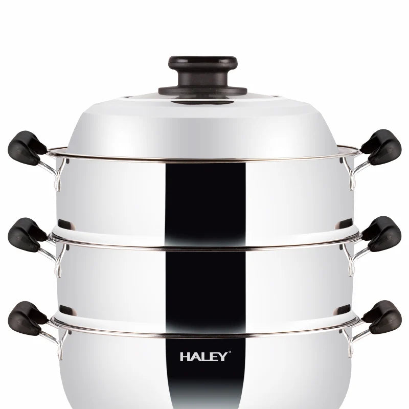 Aparat de gătit cu abur HALEY HY-501, 2100 W, 2 tăvi, 3 niveluri de putere, inox