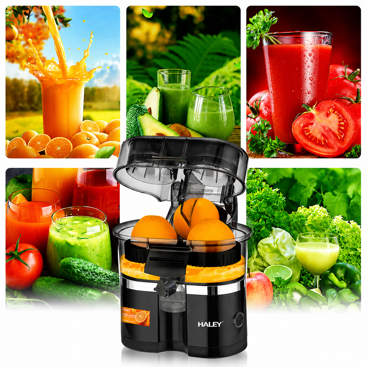 Storcător de citrice HALEY HY-2969, 650 W, 15.000 RPM, recipient 400 ml, tăietor integrat, negru