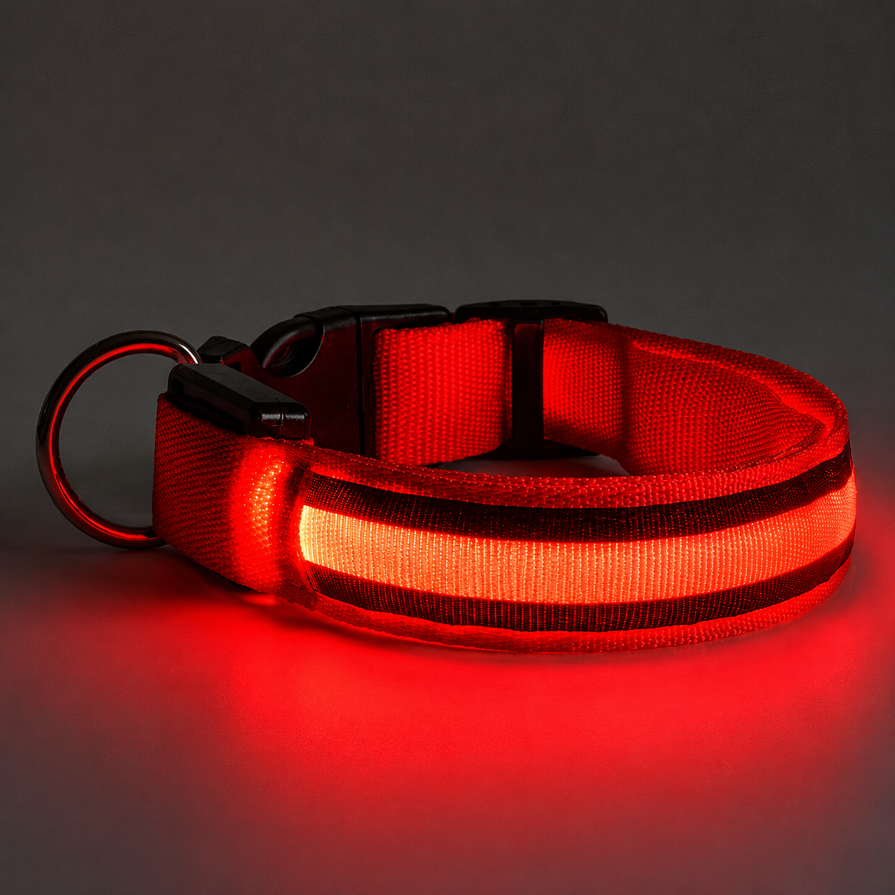 Zgardă LED pentru câini AT Performance, mărimea L 60 cm, reîncărcabilă USB, rezistentă la apă