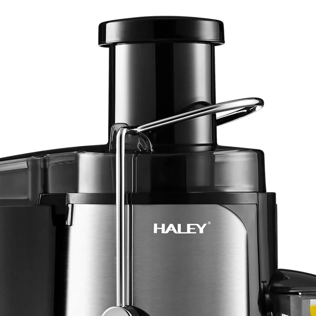 Storcător de fructe și legume HALEY HY-2901, 1000 W, 3 viteze cu Pulse, tub 70 mm, argintiu/negru