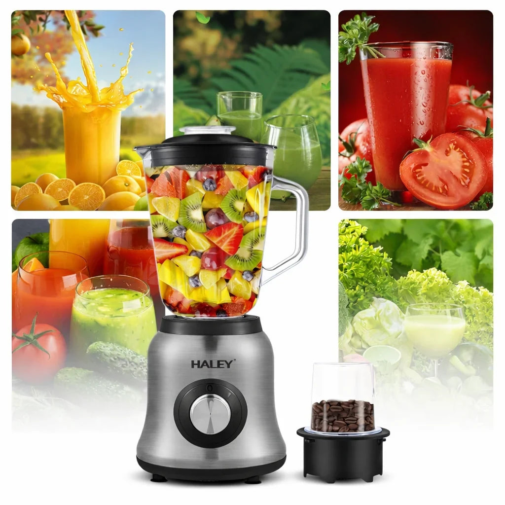 Blender multifuncțional HALEY HY-2941, 1000 W, bol sticlă 1,5 L, râșniță 120 g, 2 viteze