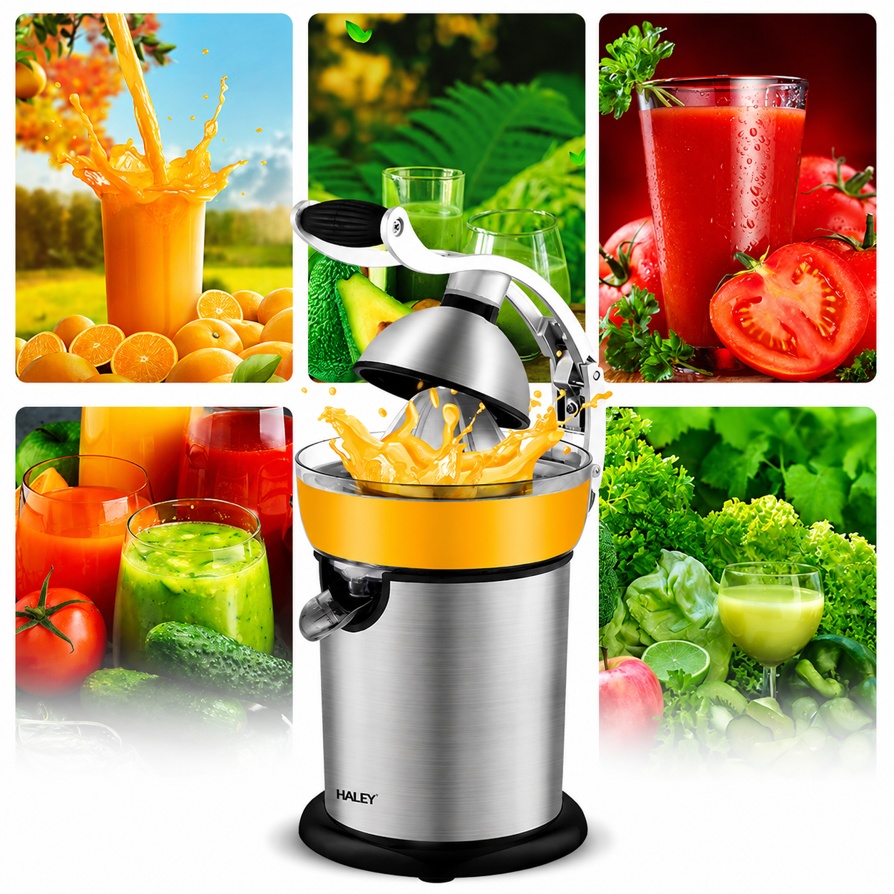 Storcător de citrice HALEY HY-2954, 800 W, 400 ml, presare cu pârghie, carcasă inox, argintiu/negru
