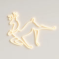 Decorațiune luminoasă ren de Crăciun AT Performance, furtun LED pe 2 fețe, 57 x 50 x 4 cm, alb cald