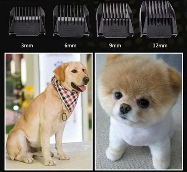 Aparat de tuns pentru animale de companie WanHengda, fără fir, 4 piepteni, 6000 RPM, USB, negru