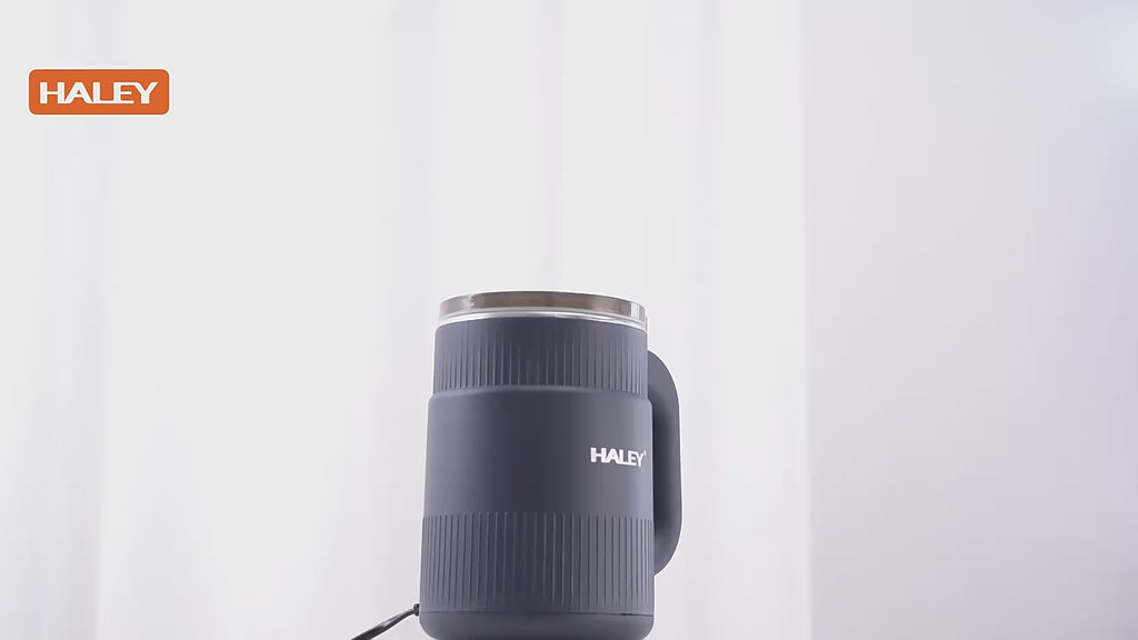 Râșniță de cafea electrică HALEY HY-2113, 500 W, capacitate 300 g, lame inox 50 mm
