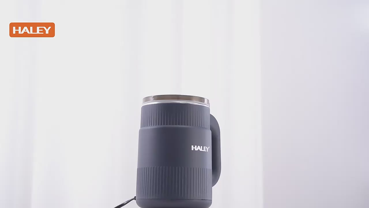 Râșniță de cafea electrică HALEY HY-2113, 500 W, capacitate 300 g, lame inox 50 mm